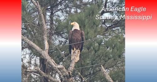 d8827759-b816-4d25-824f-563b9a5bad9a