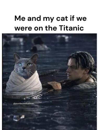 1773223991658304016614264102987_48186693360679