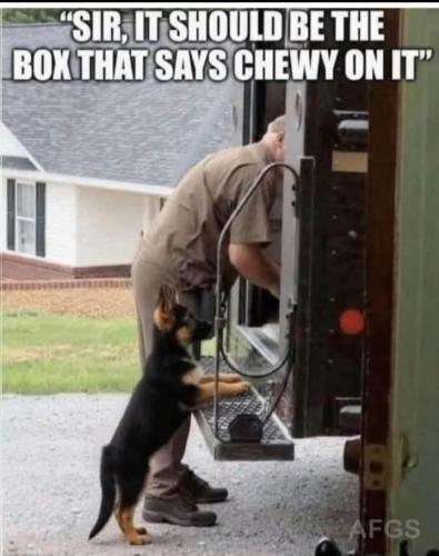 57e3493f3e2f94c3c3ec0082c0fc3530