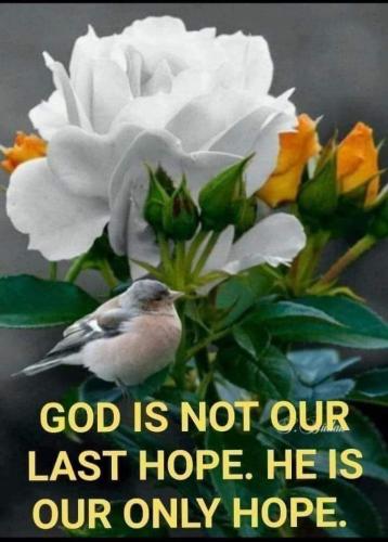 IMG_20260318_144631_815