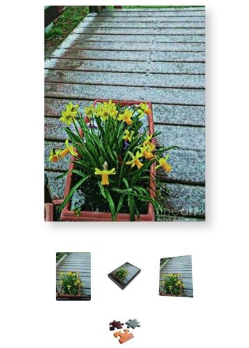 Screenshot_20260302_092015_Brave