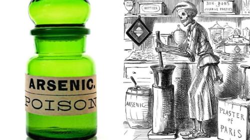 fd9a277f-ea5a-4fb2-ab81-8bb51d13f572