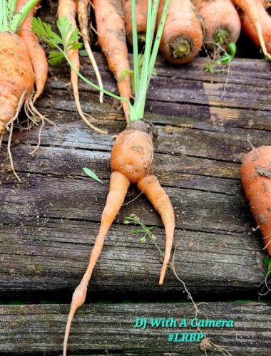 Screenshot_20260313_144626_Gallery