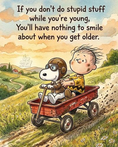 main-qimg-0cc27b8168bb158409741470d0ad1355