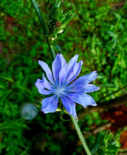 Screenshot_20260309_114305_Gallery