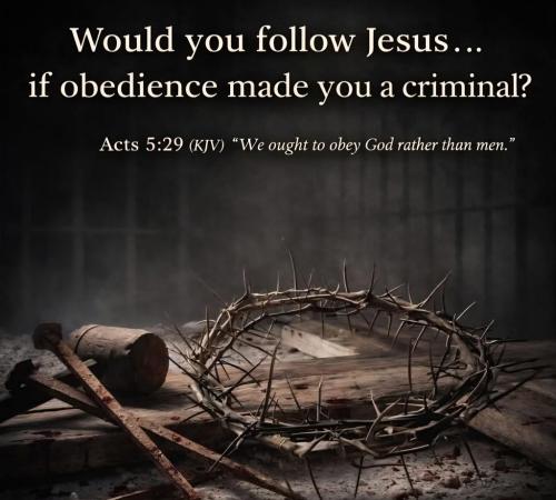 dbfb2d60-f1db-4caa-bf68-482a4195d2e7