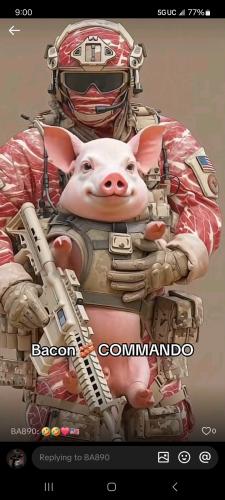 Screenshot_20260308_090012_TikTok