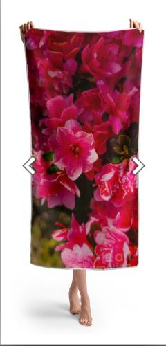 Screenshot_20260307_114355_Brave