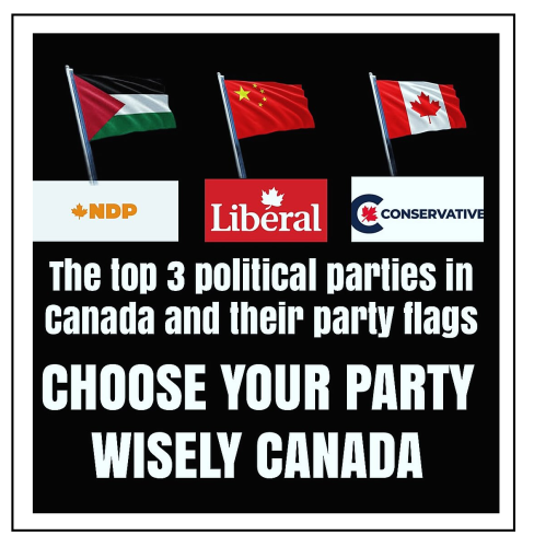 party flags