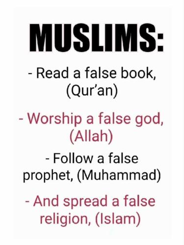 FB_IMG_1773245478815