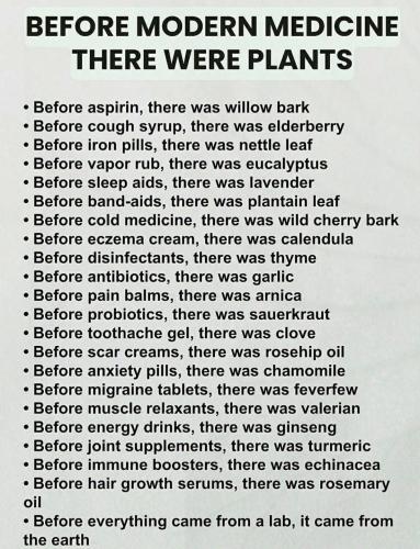 substack-4a152b80-e90c-468a-8e91-75d69006e127