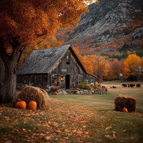 661445403_3031261900397069_4547553923272114360_n