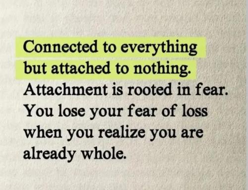 IMG_20260320_164003_331