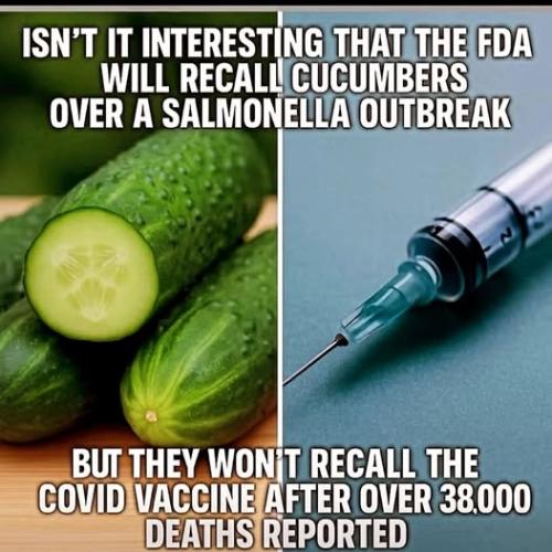 Artificial Reality 1