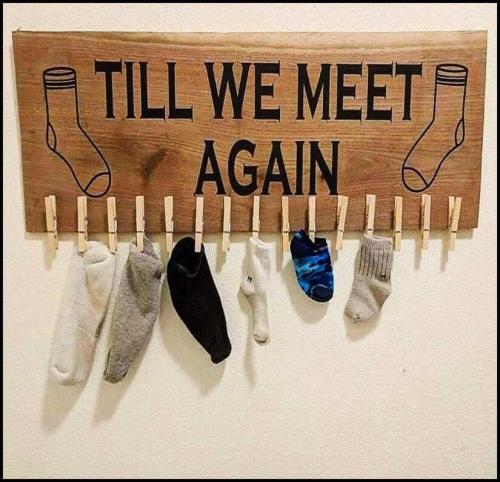 ACM2StUpviInMaELWqYk_01_b0ab2487814cfb87825a822f7bd4f842_image