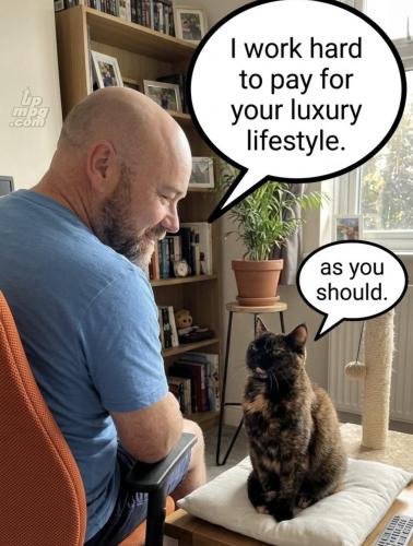 main-qimg-04ae99ebb6701ecfff92575db3f33485