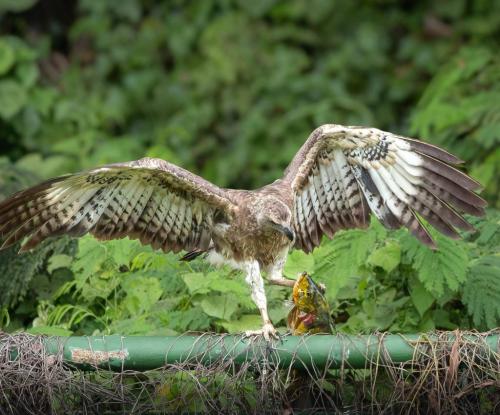 655651529_10226487607936760_7488846438327369300_n