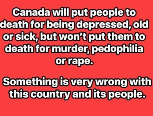 FB_IMG_1773680044723