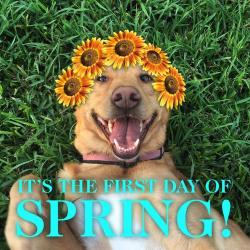 5cc4edf1c6c5914a367f38a5d0b54dd3