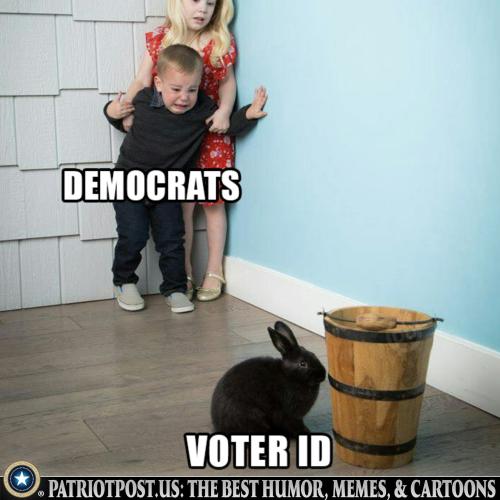 01KMDJN993GRBS6AWEAQ3RVD01