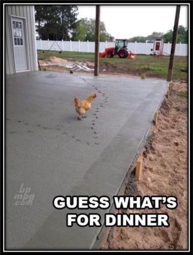 main-qimg-864fd006f6b4cad26c7d70a7e4cbc1ee