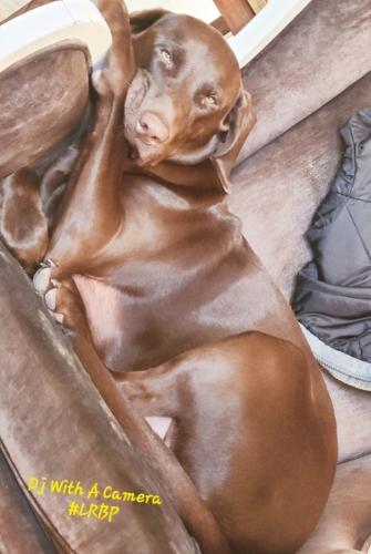 Screenshot_20260308_074235_Gallery