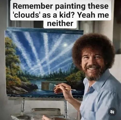 17746068178512030982839116721394_711009748663195