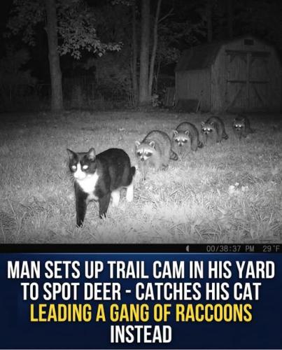 661443694_122170605686872435_5879905036366826730_n