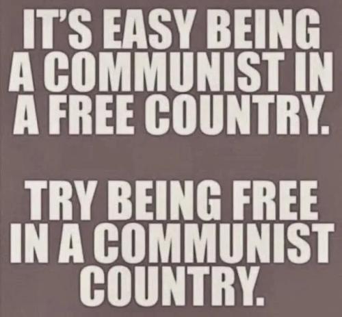 17746070987264238878857869618167_711298908069543