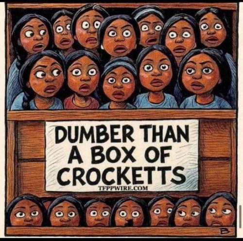 FB_IMG_1773451385109