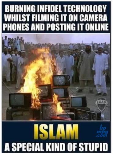 main-qimg-6e3c2361d7e05ff88fb2347222c4de53