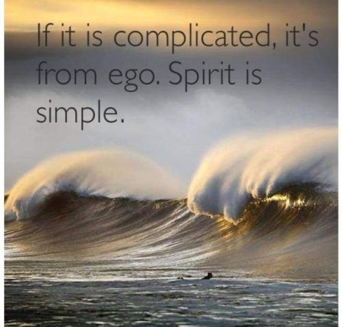 Screenshot_20260318_085130_Gallery