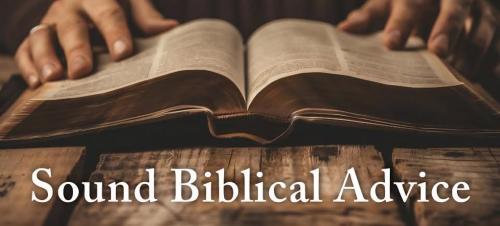 4ae53004-c767-45fd-a064-fcbc74f64781