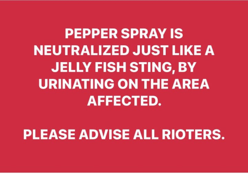 18:35:55 GMT-0600 (CST)