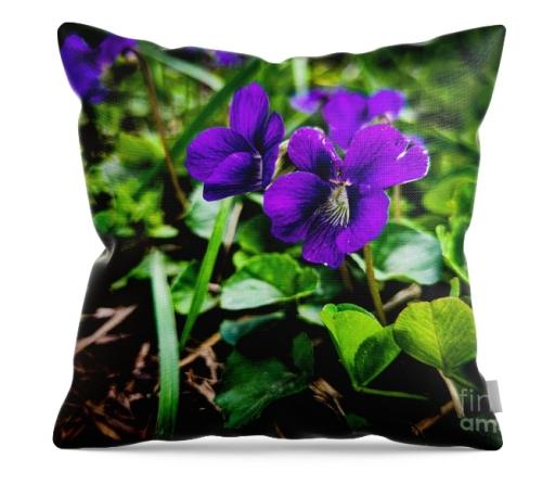 Screenshot_20260325_085346_Brave