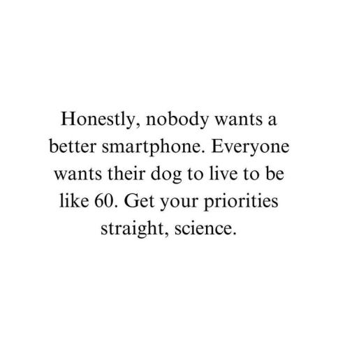 c4a3741ce6f6732ddb69ce96a19fb5db (1)