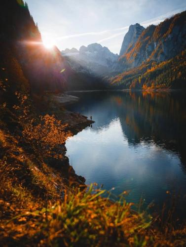 RDT_20260301_1547198066327420106186740