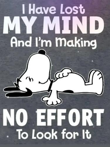 17743478696984571164330332319621_565961600691495