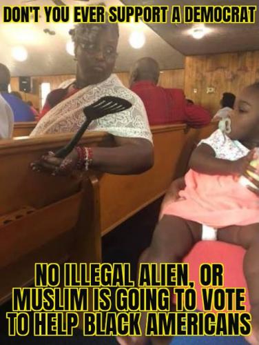 ZomboMeme 06032026091803