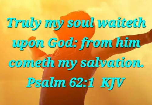 f07d4320-afa1-44ed-af50-b7b943d89f4f