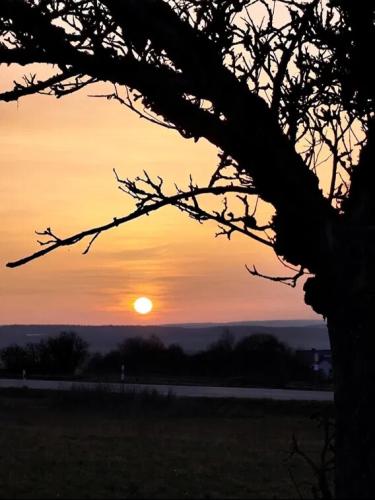 6748613aeb1d4f53c9b02a1f1b7acf7d