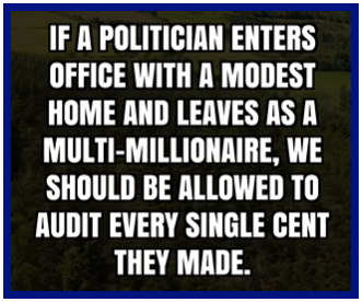 Audit Politicians
