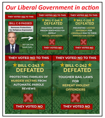 liberal government in action