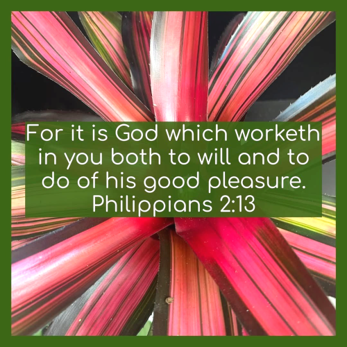 God Which Worteth In You