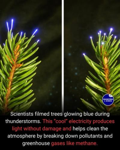 656195886_1207658431578715_3566702926657336057_n