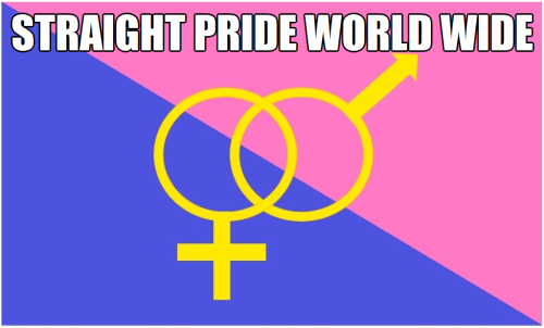 AA straight pride world wide meme