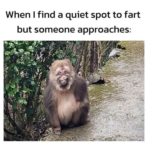 36F1C420-61A3-40C2-951F-C2E6AAC9D189