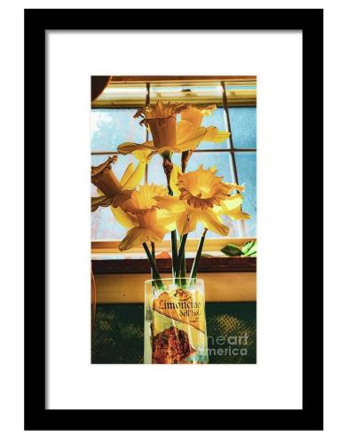 Screenshot_20260309_140315_Brave