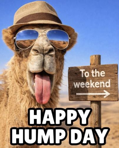 1-Hump Day