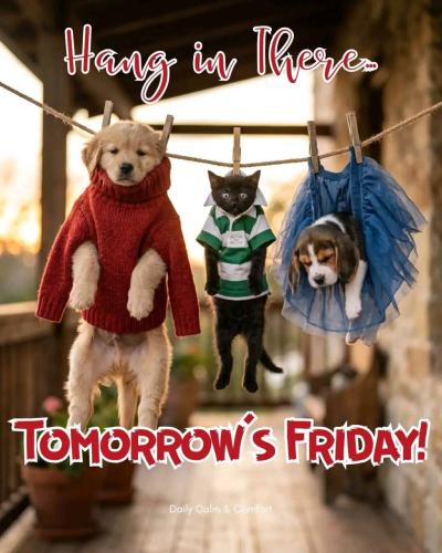 IMG_20260327_041910_002